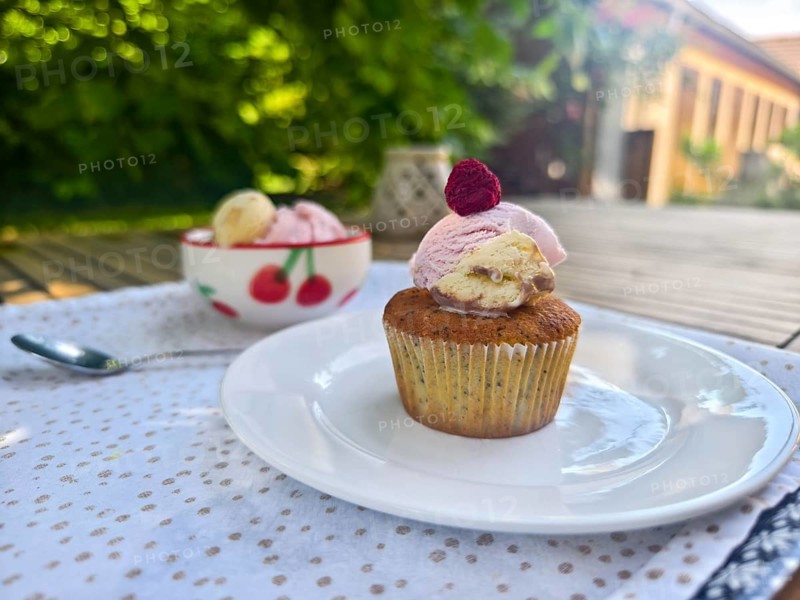 Summer dessert with cupcake, ice cream and raspberry on a plate in the garden Lower Austria Austria