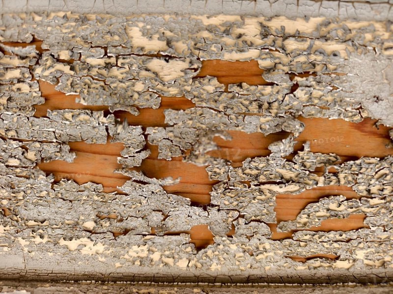 Flaking grey layer of paint on weathered wood Lower Austria Austria