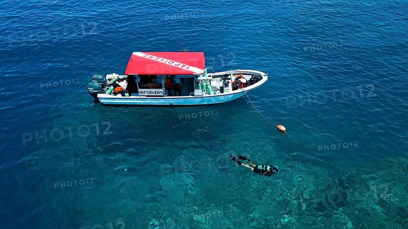 Diver scuba diving swims dives next to diving ship anchored at reef, Pacific Ocean, Yap Island, Yap State, Caroline Islands, FSM, Federated States of Micronesia, Australia, Oceania