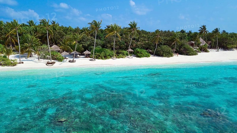 Aerial view Bird's eye view of lagoon and white beach Sandsztanf with coconut palms (Cocos nucifera), Filaidhoo, Raa Atoll, Maldives