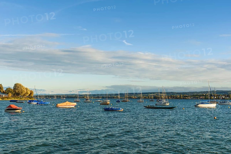 Boats anchored in front of the lakeshore in Allensbach, Lake Constance, Baden-Württemberg, Germany