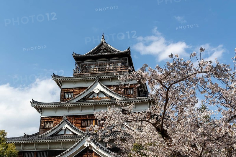 Hiroshima Castle, also known as Carp Castle, in front of a blue sky with cherry blossoms, Sakura, replica of the original destroyed by the atomic bombing, sight, tourist attraction, Naka Ward, Hiroshima, Japan