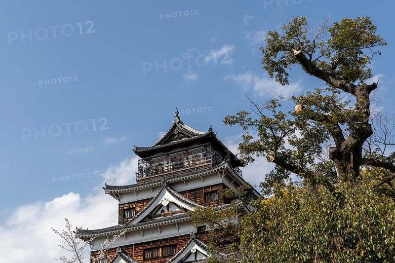 Hiroshima Castle, also known as Carp Castle, against a blue sky, replica of the original destroyed in the atomic bombing, sight, tourist attraction, Naka Ward, Hiroshima, Japan