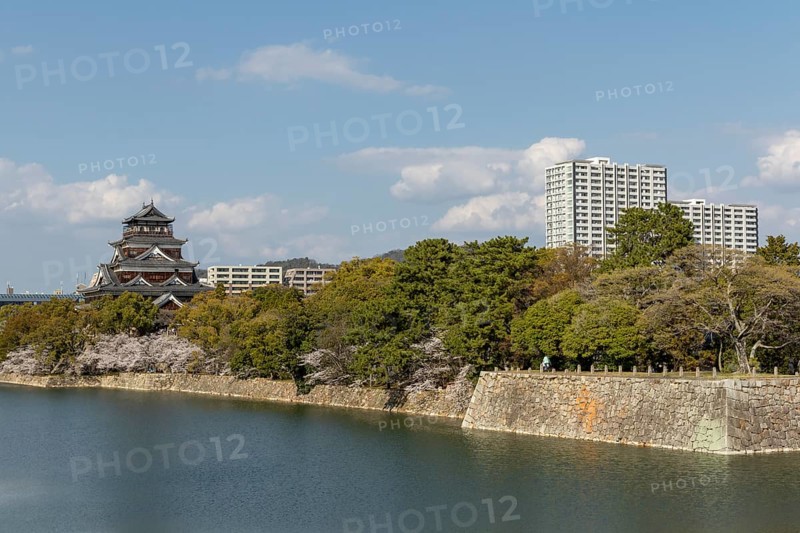 Hiroshima Castle, also known as Carp Castle, against a blue sky with cherry blossoms, sakura, and moat, replica of the original destroyed in the atomic bombing, sight, tourist attraction, Naka Ward, Hiroshima, Japan