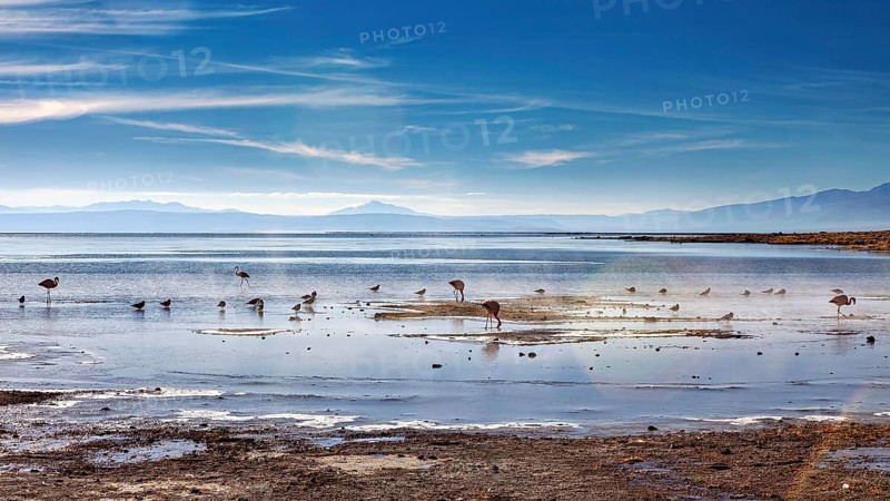 Tranquil lake with birds and distant mountains under a sunny sky, The thermal springs of Polques in Bolivia