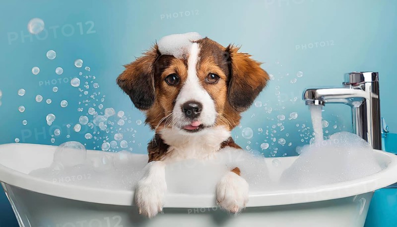 A dog is in a bathtub with bubbles. The dog is looking at the camera, AI generated