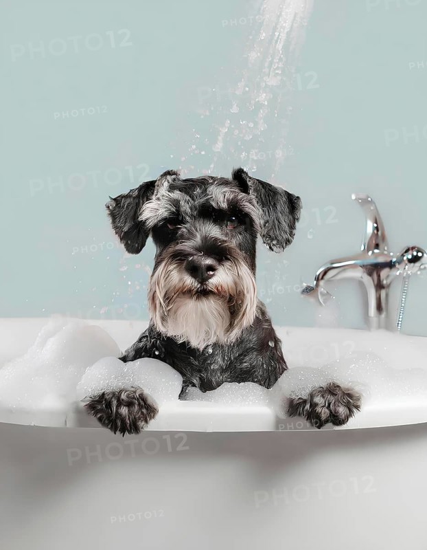 A dog is in a bathtub with bubbles. The dog is looking at the camera, AI generated