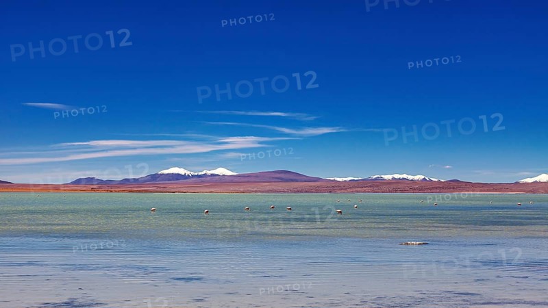 Vast landscape with a clear lake and snow-capped mountains under a blue sky, The landscape of the Laguna Colorada in Bolivia
