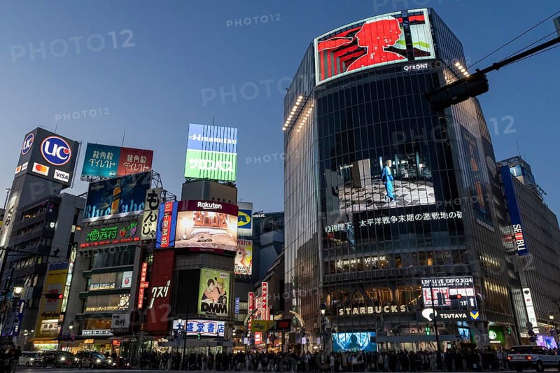 Crowd waiting at the zebra crossing of Shibuya Crossing, world-famous intersection in Shibuya district, behind neon signs and billboards on skyscrapers at dusk, tourist attraction, sight, Shibuya district, Tokyo, Japan