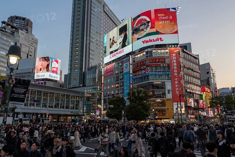Crowd crossing the zebra crossings of Shibuya Crossing, world-famous intersection in Shibuya district, behind it neon signs and billboards on skyscrapers at dusk, tourist attraction, landmark, Shibuya district, Tokyo, Japan