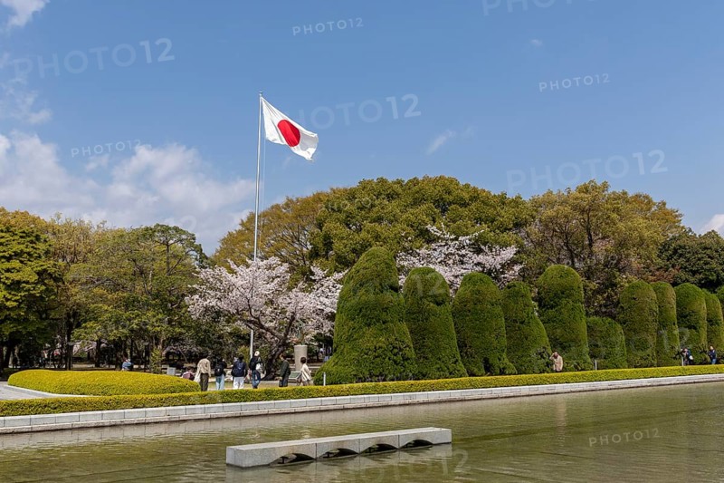 Japanese national flag and blossoming cherry trees, Sakura in the Peace Park, landmark, UNESCO World Heritage Site, peace memorial and memorial to the victims of the atomic bombing of Hiroshima, Naka Ward, Hiroshima, Japan