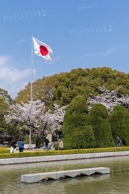 Japanese national flag and blossoming cherry trees, Sakura in the Peace Park, landmark, UNESCO World Heritage Site, peace memorial and memorial to the victims of the atomic bombing of Hiroshima, Naka Ward, Hiroshima, Japan