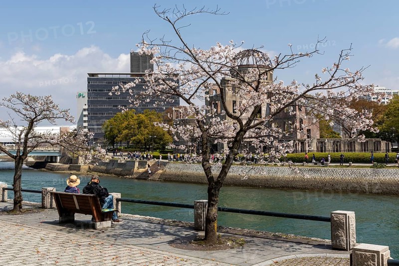 Tourists sitting on a bench under blossoming cherry trees, Sakura, Atomic Bomb Dome behind them, ruins of the former Chamber of Commerce and Industry building, landmark, UNESCO World Heritage Site, peace memorial and memorial to the victims of the atomic bombing of Hiroshima in the Peace Park on the Otagawa River, Naka Ward, Hiroshima, Japan