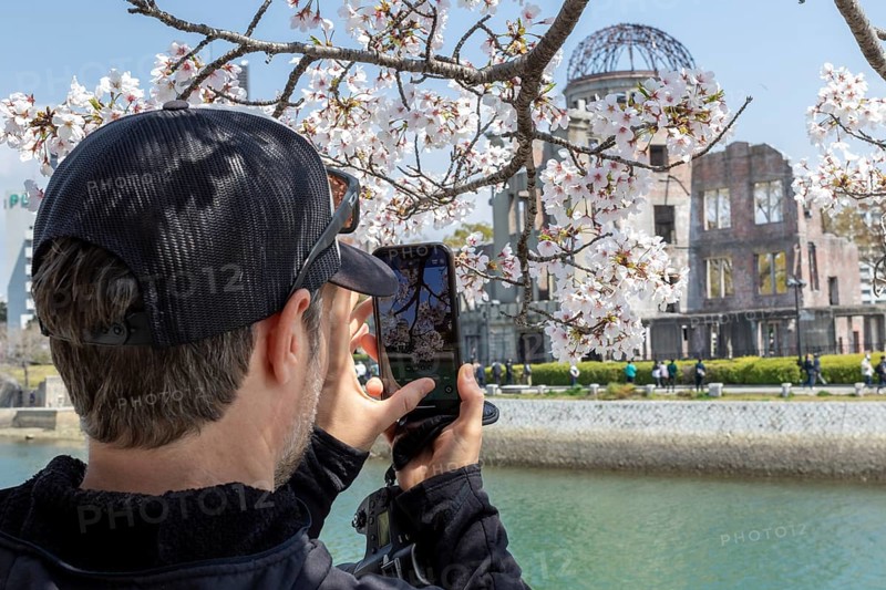 Tourist taking a photo of cherry blossoms with a smartphone, sakura, behind it atomic bomb dome, ruins of the former building of the Chamber of Commerce and Industry, landmark, UNESCO World Heritage Site, peace monument and memorial to the victims of the atomic bombing of Hiroshima in the Peace Park on the Otagawa River, Naka Ward, Hiroshima, Japan