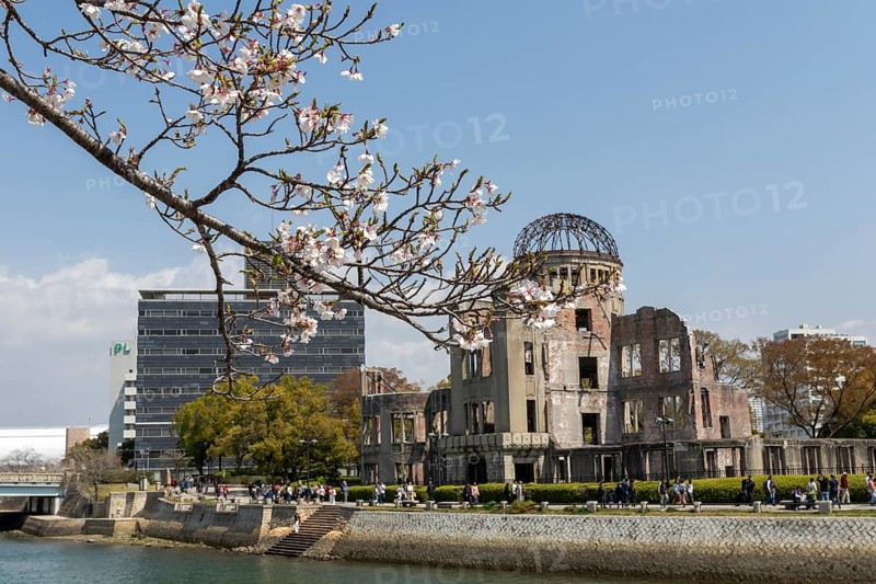 Branch with cherry blossoms, Sakura, behind it atomic bomb dome, Atomic Bomb Dome, ruins of the former building of the Chamber of Commerce and Industry, sight, UNESCO World Heritage Site, peace monument and memorial to the victims of the atomic bombing of Hiroshima in the Peace Park on the Otagawa River, Naka Ward, Hiroshima, Japan