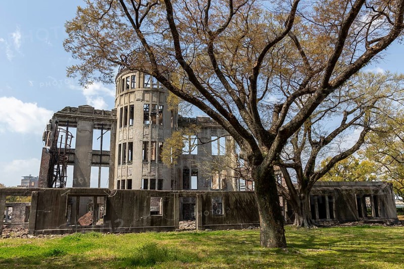 Tree in front of the atomic bomb dome, Atomic Bomb Dome, ruins of the former Chamber of Commerce and Industry building, landmark, UNESCO World Heritage Site, peace memorial and memorial to the victims of the atomic bombing of Hiroshima in the Peace Park, Naka Ward, Hiroshima, Japan