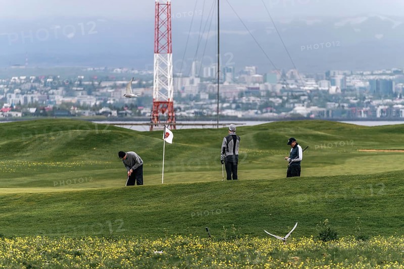 Golfing with a view of Reykjavik. Fairways meet Icelandic skyline. Reykjavik, Iceland