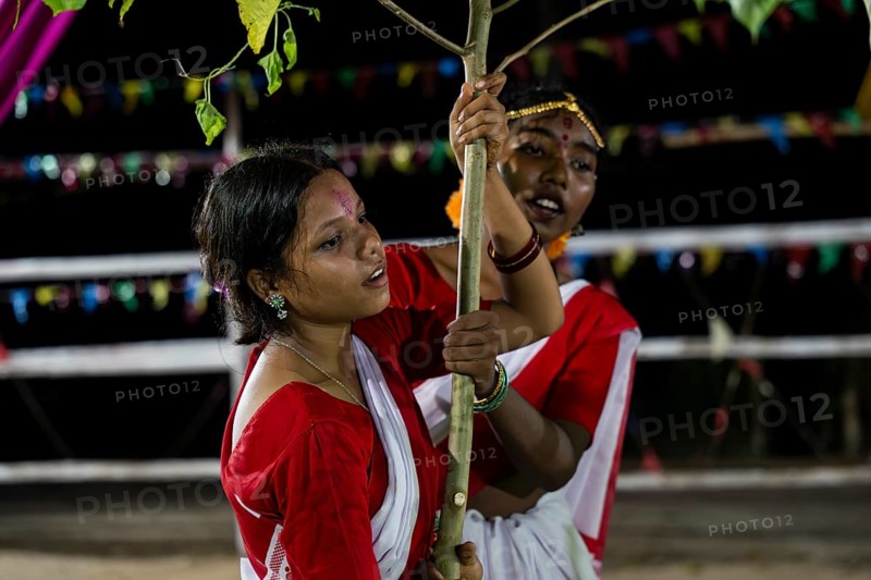 Members of the tea tribe community holds a karam tree as they celebrate the vibrant Karam Festival with traditional rituals at a tea estate in Bokakhat, Assam, India, on 3 September 2025. Karam Puja, one of the most popular harvest festivals, is a celebration dedicated to the Karam tree. This tree symbolizes fertility, prosperity, and all things auspicious. During the festival, Karma dancers carry a branch of the Karam tree while singing and dancing