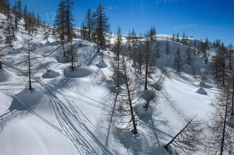 Alpe Tognola ski area, San Martino di Castrozza, Trentino, South Tyrol, Italy
