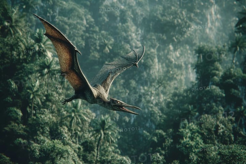 A pterosaur, dinosaur, flying reptile, pterosauria sails over a primeval landscape, jungle, AI generated
