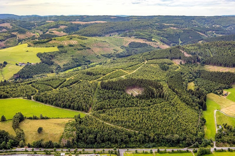 Aerial view, forest area wind fallow with forest damage, hilly landscape with distant view, Bad Berleburg, Wittgensteiner Land, North Rhine-Westphalia, Germany, view, trees, drone image, distant view, forestry, hill, hilly landscape, season, landscape, aerial perspective, nature, outdoor, damage area, summer, environmental influences, environmental protection, environmental damage, forest, forest area, forest damage, reforestation, wind break, vegetation