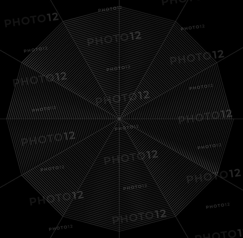 Illustration of a frontal spiderweb in black back