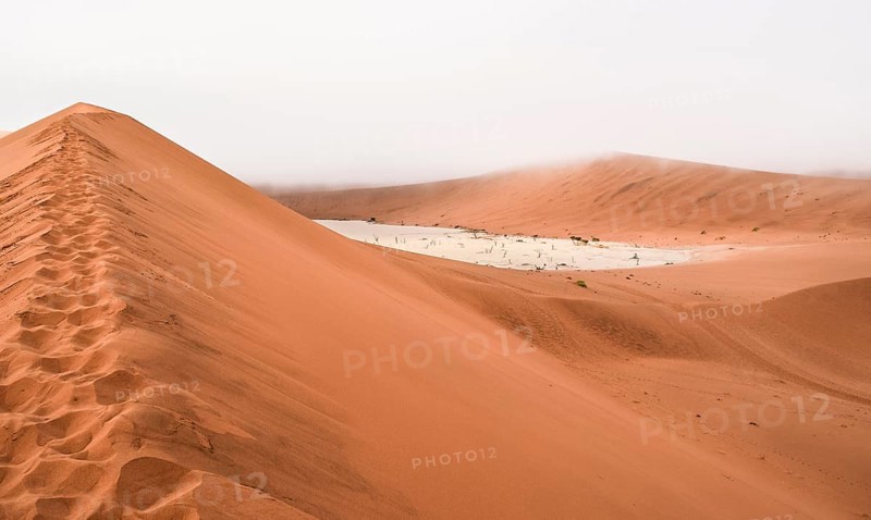 Namib desert scenery around the Sossusvlei area in Namibia