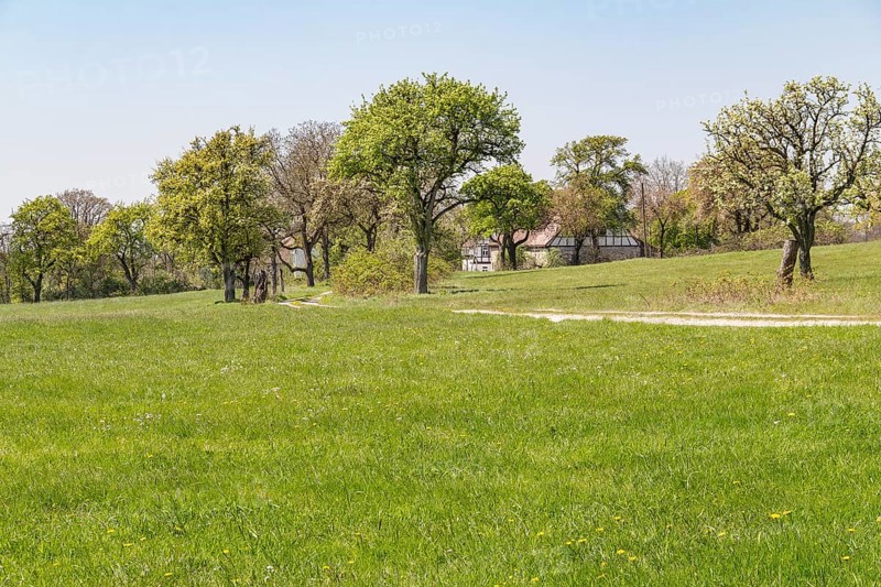 Idyllic rural scenery showing a farmstead behind some trees at spring time in Southern Germany