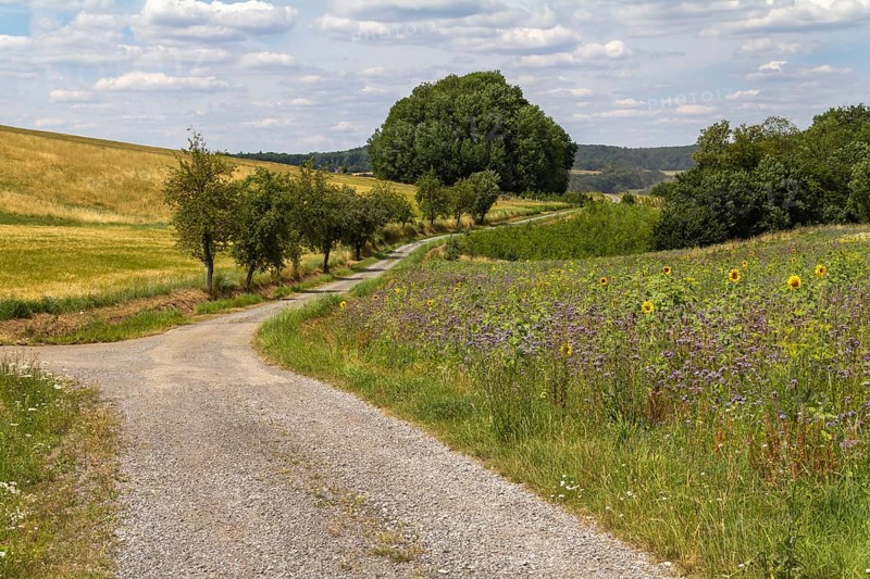 Idyllic rural scenery around the Jagst Valley in Hohenlohe, a district in Southern Germany at summer time