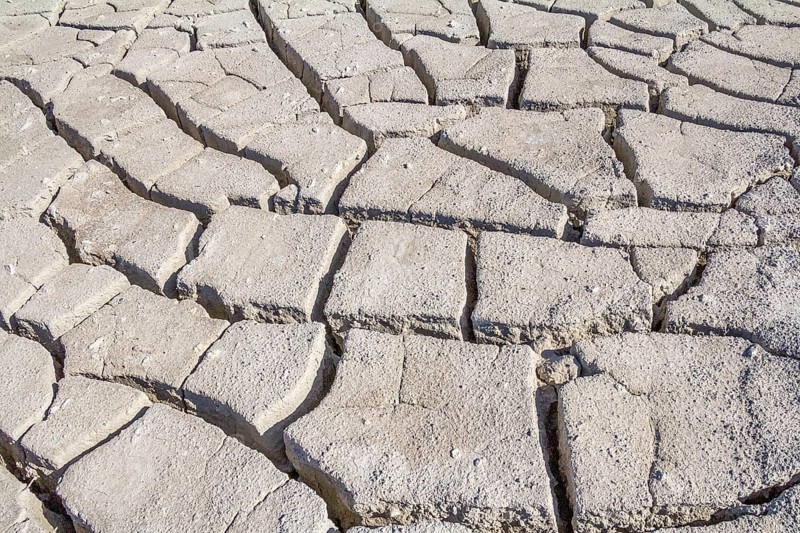 Natural abstract background of fissured dry loam