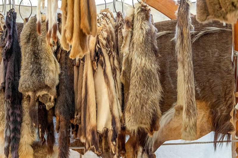 Various hanging fur pieces seen at a medieval market