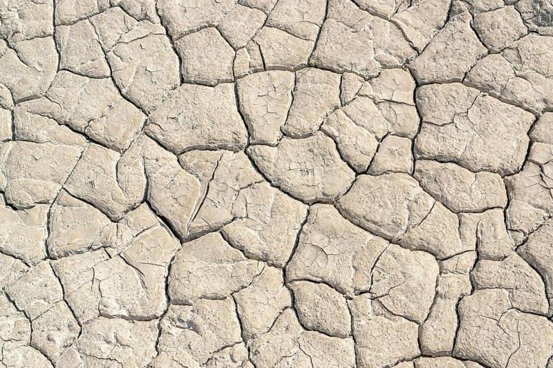 High angle view of a sunny illuminated dry and clefty soil surface