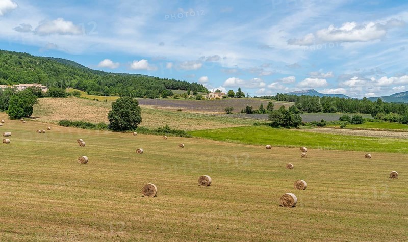 Impression around Mont Ventoux, a mountain in the Provence region of southern France