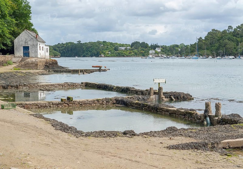 Coastal scenery at the Belon River in Brittany, France
