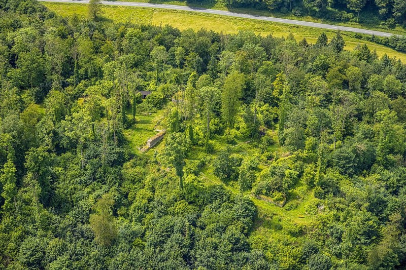 Aerial view, castle ruin resp. Remains of the Rüdenburg (also Alte Grafenburg or Alte Burg) on the Römerberg in the forest area, Obereimer, Arnsberg, Sauerland, North Rhine-Westphalia, Germany, castle ruins, Rüdenburg, Alte Grafenburg, old castle, Römerberg, forest area, ruin, historical site, remains, medieval, nature, trees, landscape, architecture, history, culture, sight, tourism, photography, panorama, forest, green, outdoor, summer, wooded, monument, geography, historical, travel, German fairytale forest, bird's eye view