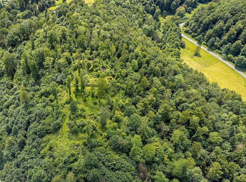 Aerial view, castle ruin resp. Remains of the Rüdenburg (also Alte Grafenburg or Alte Burg) on the Römerberg in the forest area, Obereimer, Arnsberg, Sauerland, North Rhine-Westphalia, Germany, castle ruins, Rüdenburg, Alte Grafenburg, old castle, Römerberg, forest area, historical, medieval, architecture, ruin, nature, forest, trees, remains, landscape, view, fortress, walls, sight, tourist attraction, monument, heritage, history, outdoor shot, day, summer, green, stone, monument