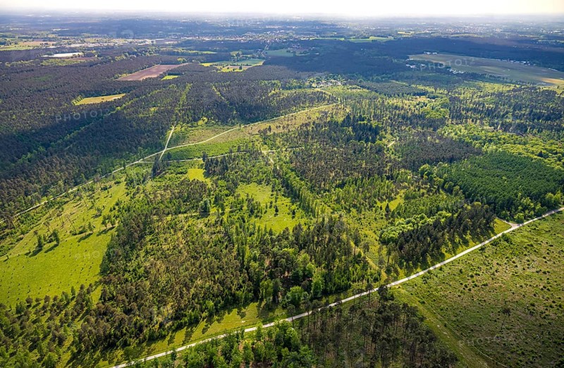 Aerial view, forest pastures Wistinghauser Senne nature reserve, heathland, forest and meadows and fields, Währentrup, Oerlinghausen, East Westphalia, North Rhine-Westphalia, Germany, forest pastures, Wistinghauser Senne, nature reserve, forest, meadows, fields, nature, scenic, protected area, rural, green, vegetation, agriculture, environment, hill, peace, tranquillity, landscape protection, conservation, biodiversity, sustainability, Europe, top view, aerial view, idyllic, undeveloped, farmland, flora, fauna, ecological, biodiversity