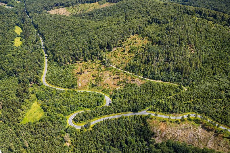 Aerial view, serpentines at the Ochsenkopf between Arnsberg and Sundern in the forest area with forest damage Stockumer Höhe, Sunderner Straße Landesstraße L685, Arnsberg, Sauerland, North Rhine-Westphalia, Germany, DE, Europe, aerial view, aerial photography, aerial photography, Ruhr area, overview, bird's eye view, birds-eyes view, overview