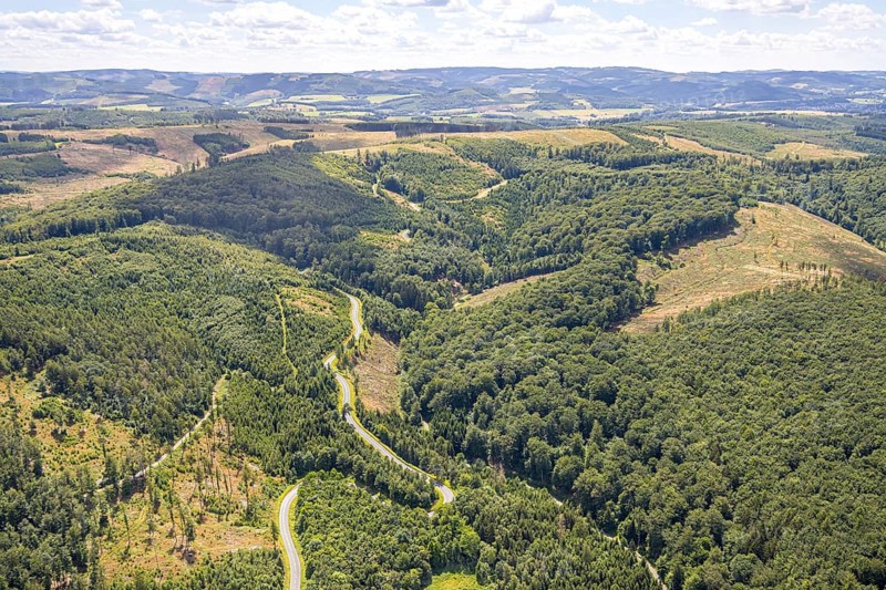 Aerial view, serpentines at the Ochsenkopf between Arnsberg and Sundern in the forest area with forest damage Stockumer Höhe, Sunderner Straße Landesstraße L685, Arnsberg, Sauerland, North Rhine-Westphalia, Germany, DE, Europe, aerial view, aerial photography, aerial photography, Ruhr area, overview, bird's eye view, birds-eyes view, overview