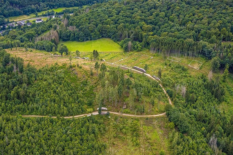 Aerial photo, forest area with forest damage at Weibersberg, Bad Laasphe, Wittgensteiner Land, North Rhine-Westphalia, Germany, trees, Europe, forestry, wood, climate change, landscape, aerial photo, Central Europe, sustainability, nature, perspective, damage, environmental protection, environmental damage, forest, forest area, forest damage, forest dieback, Weibersberg, ecosystem