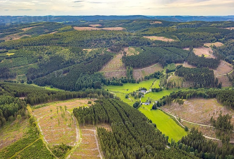Aerial view, Homrighausen forester's lodge, half-timbered house in picturesque hilly landscape with distant view, forest area with forest damage, Bad Berleburg, Wittgensteiner Land, North Rhine-Westphalia, Germany, architecture, exterior view, trees, preservation, half-timbered house, distant view, building, hill, landscape, nature, panorama, damage, summer, daylight, environment, forest, forest area, forest damage, historical architecture, rural, rural idyll, picturesque hilly landscape, rural, traditional house, and infrastructure