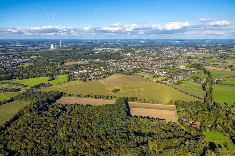 Aerial view, triangular group of trees in a field on Lünener Straße, field, field, group of trees, agriculture, Weddinghofen, Bergkamen, Ruhr area, North Rhine-Westphalia, Germany, agriculture, trees, plan view, area, geography, geometry, land use, landscape, nature, perspective, region, settlement area, summer, urban planning, street, structure, topography, environment, environment, vegetation, forest, triangular group of trees, European, rural