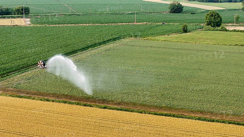 Vast Soybean Field in Northern Italy Receiving Water from a Powerful Irrigation Sprinkler System on a Sunny Spring Day