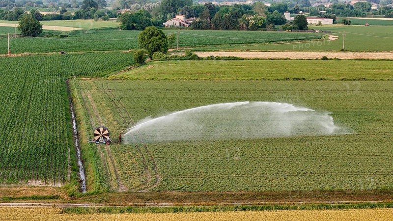 Springtime agricultural irrigation using a large rain gun sprinkler system to water young soybean crops across expansive cultivated fields in Italy's fertile Po Valley agricultural region under a clear sky