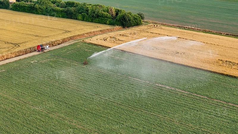 Intensive agricultural irrigation systems using rain gun sprinklers on young soybean crops in the fertile Po Valley during a warm springtime in Northern Italy benefiting from advanced farming techniques for optimal growth and yield under cultivation