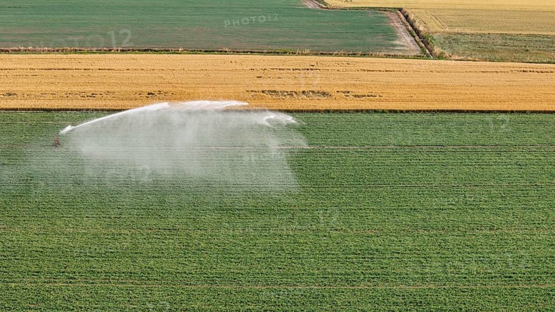 Modern Agricultural Irrigation Techniques Employing Rain Gun Sprinklers for Soybean Cultivation During Springtime in the Fertile Po Valley Region of Northern Italy