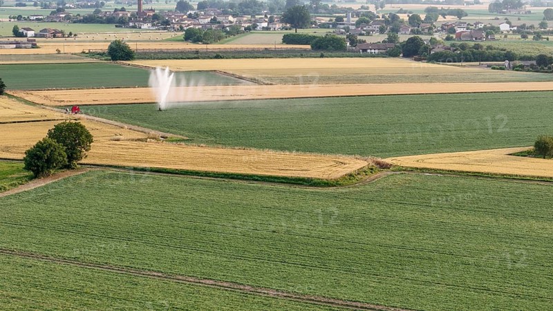 Agricultural irrigation system spraying water on a soybean field during springtime in Italy's fertile Po valley showcasing modern farming techniques for crop cultivation and water management