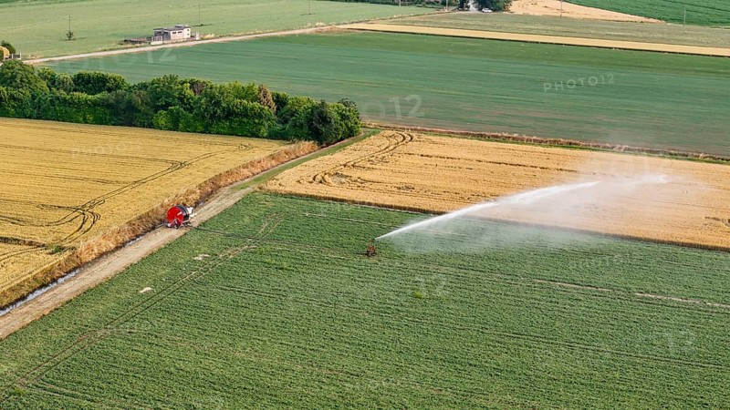 Automated Irrigation System Sprays Water on Lush Green Soybean Fields in Italy During Springtime Agricultural Cultivation in the Po Valley