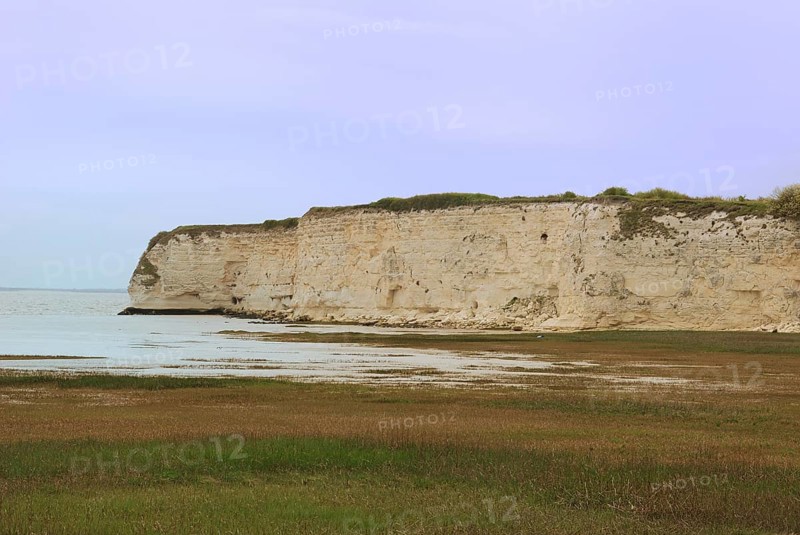 Coast in Charentes, Cliffs by a calm sea under a pale sky, surrounded by green grass and a gentle coastline