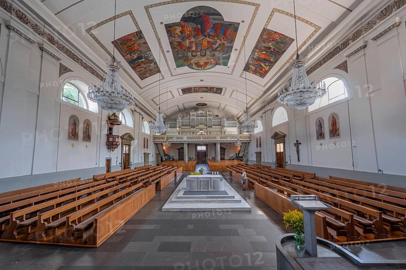 The Roman Catholic parish church of St Martin, interior with organ loft, Behmann organ and ceiling frescoes Dornbirn, Vorarlberg
